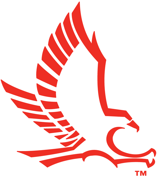 Hartford Hawks 1984-Pres Secondary Logo iron on transfers for T-shirts